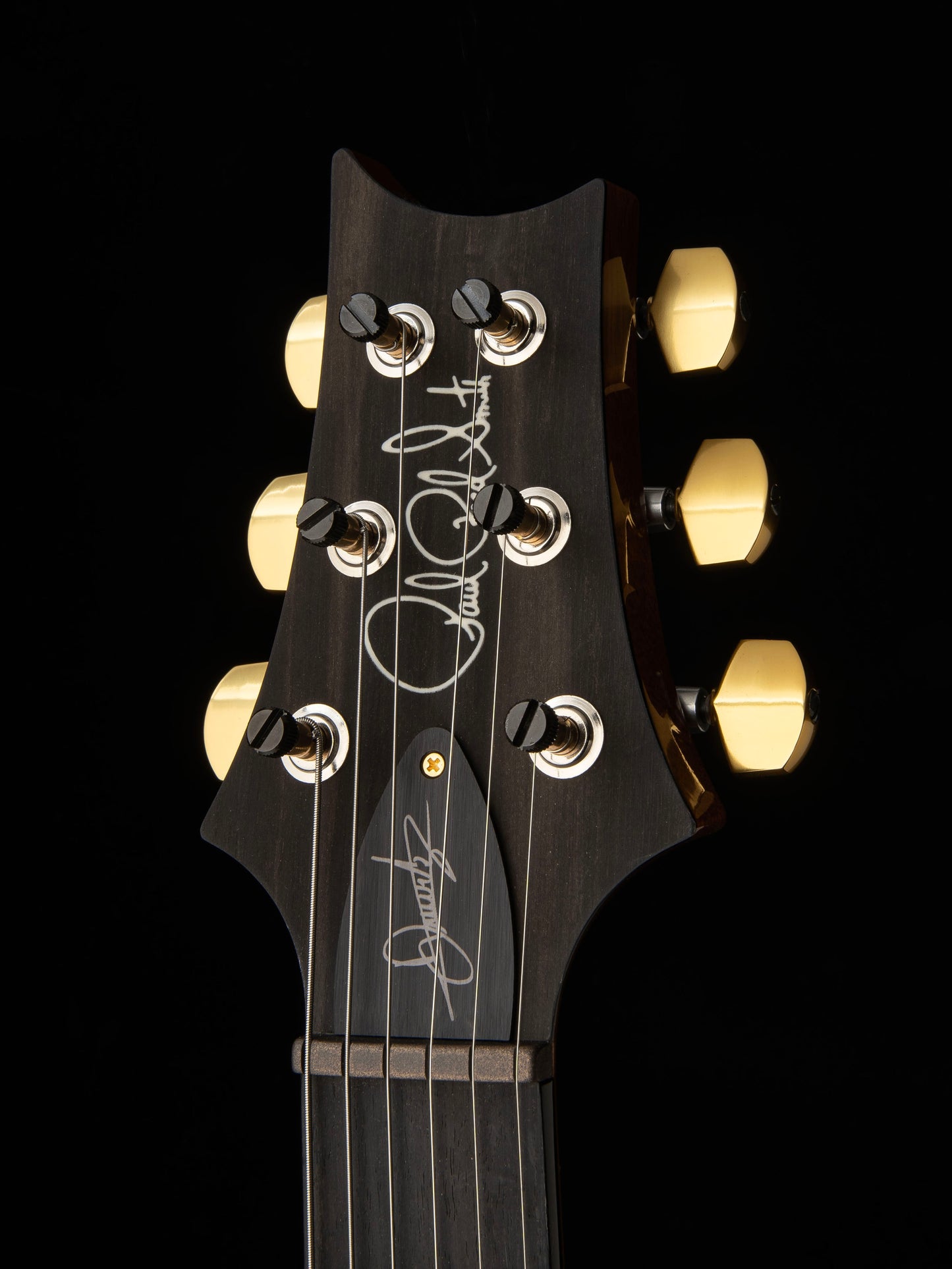 PRS Custom 24 Astryx Limited Edition Dany Villarreal Signature "10 Top" | Ocaso (Sunset)