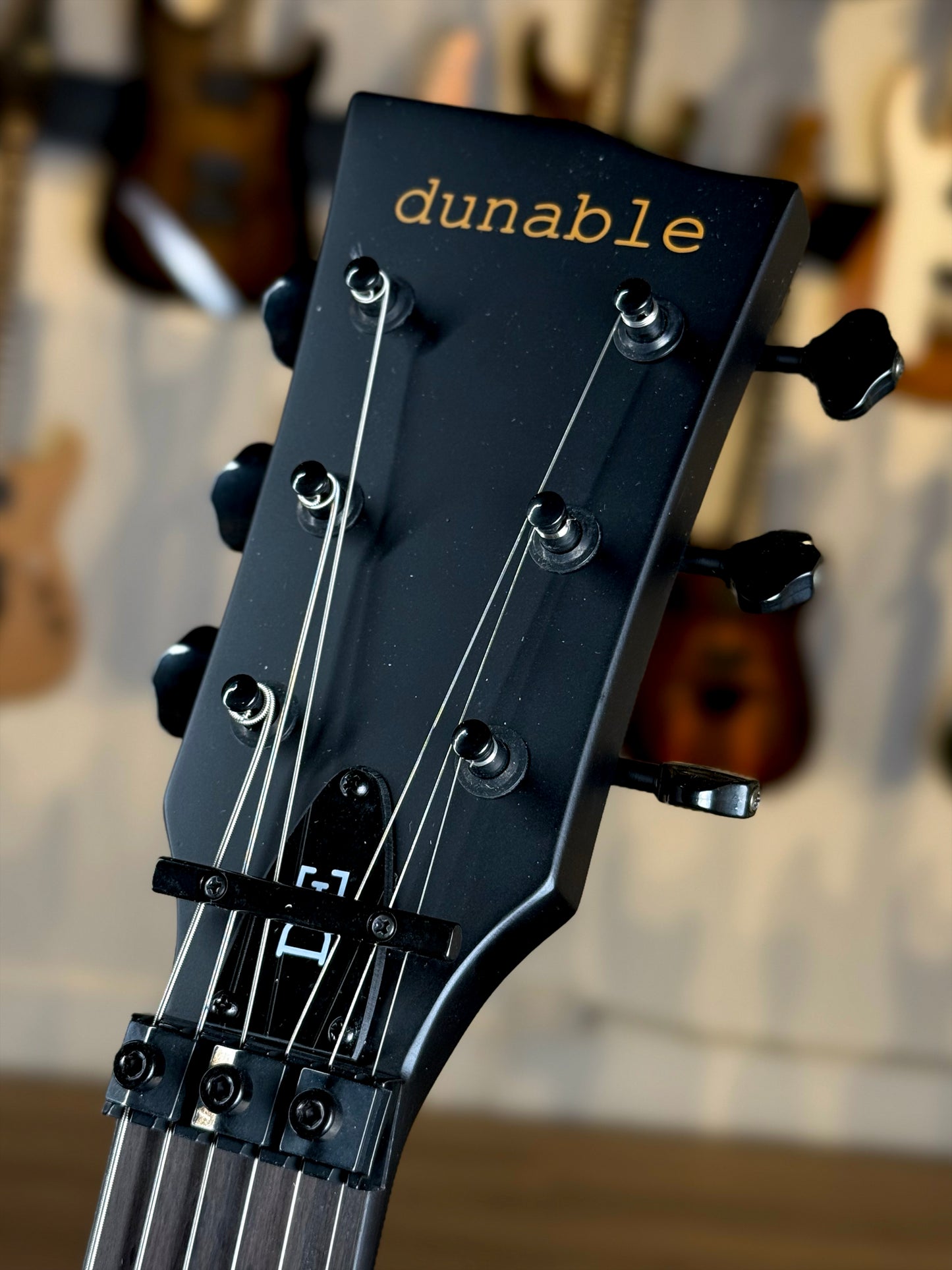 Dunable Asteroid DE | Matte Black Floyd Rose