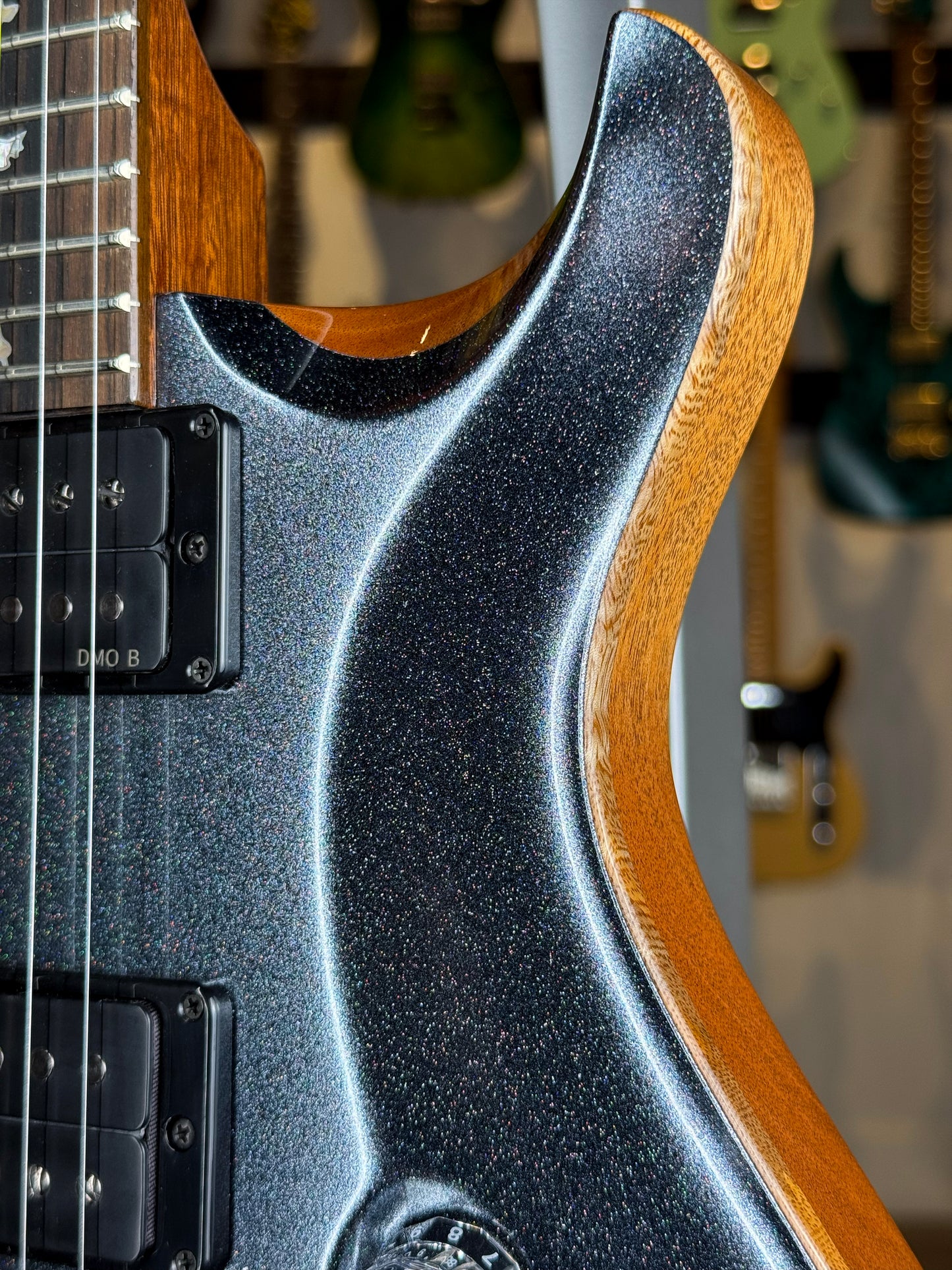PRS Custom 24 Sprayer's Choice | Gunmetal Grey Holoflake Sparkle/Natural Back