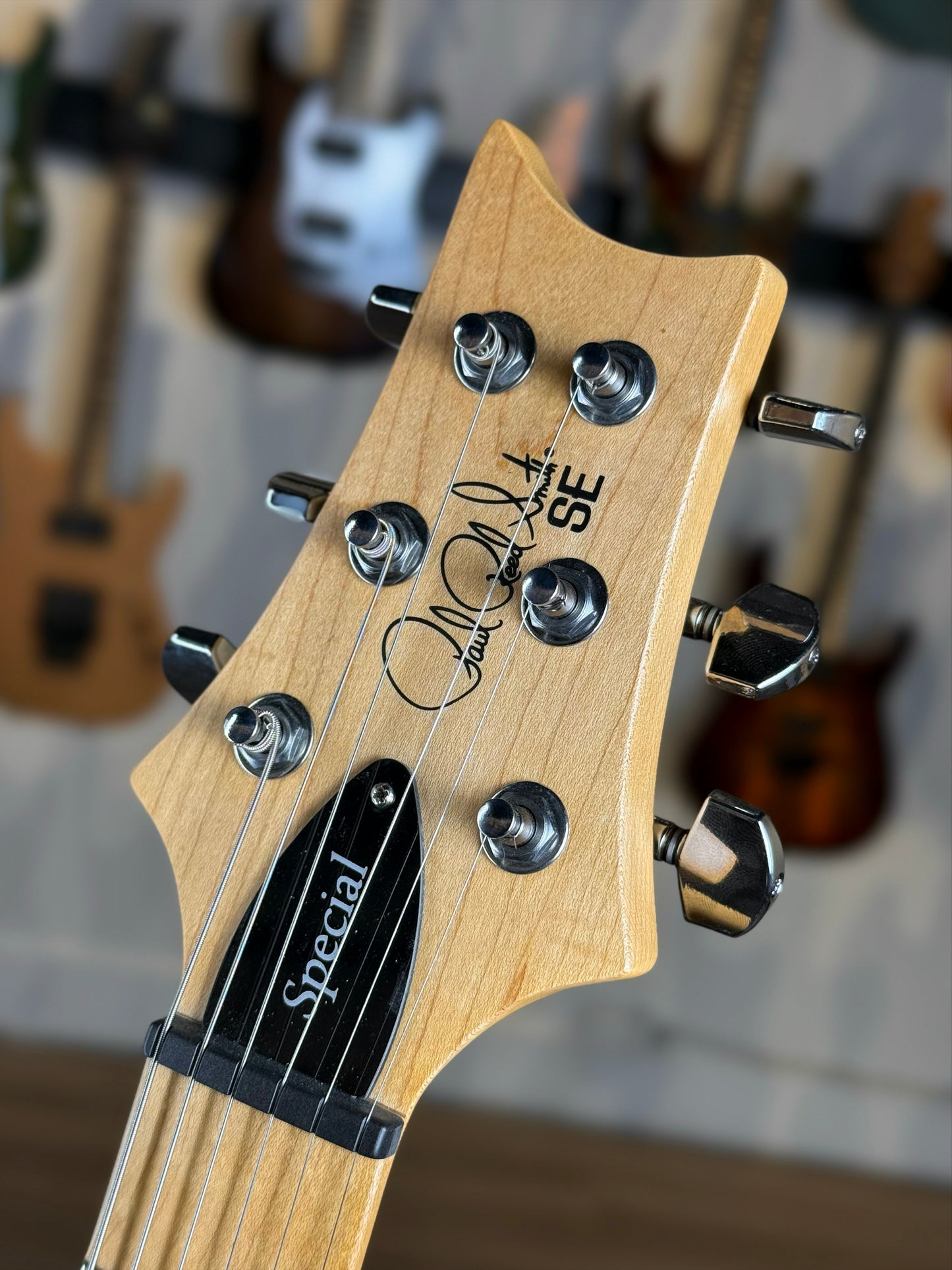PRS SE Swamp Ash Special | Iri Blue