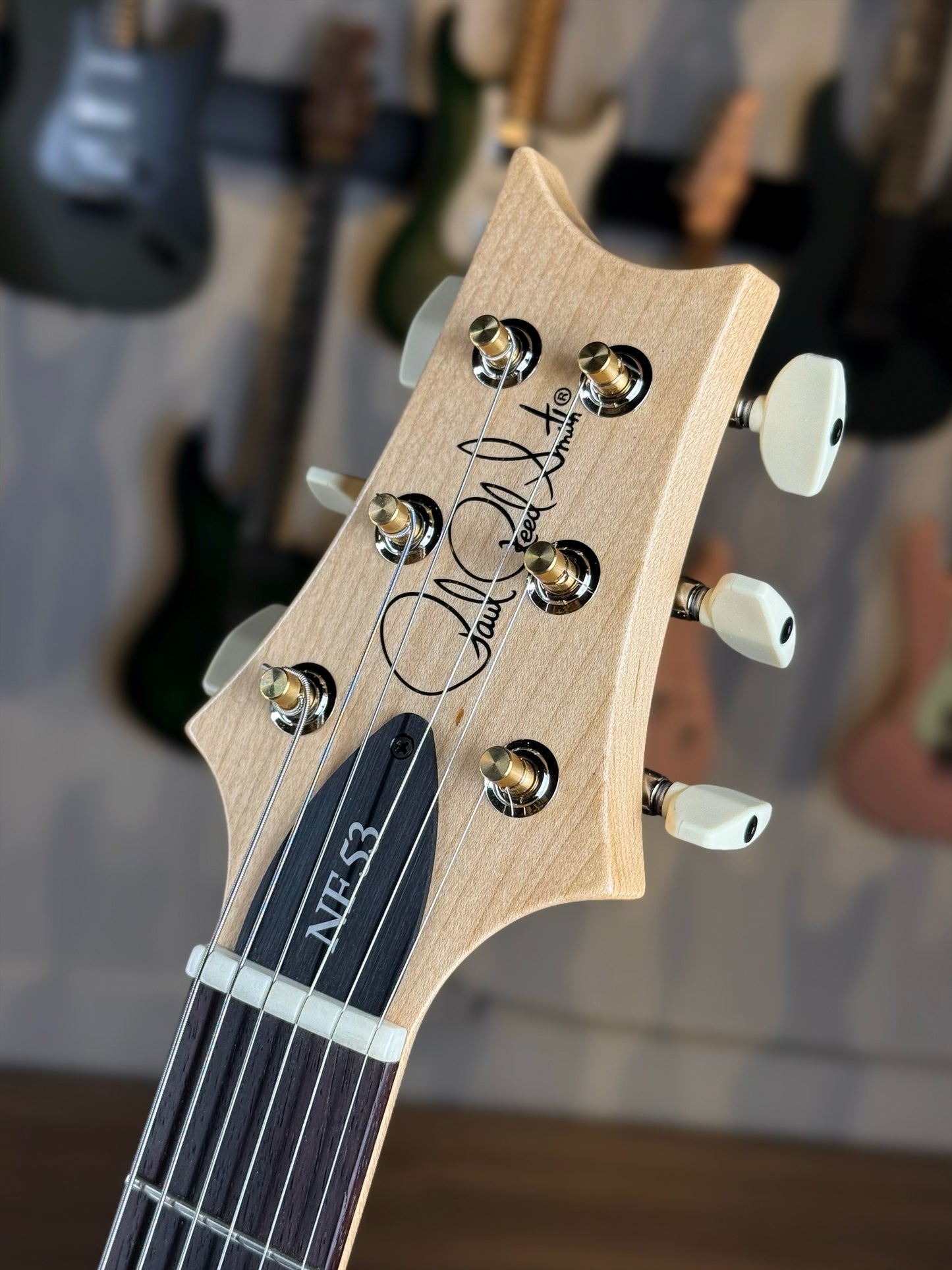 PRS NF 53 | White Doghair