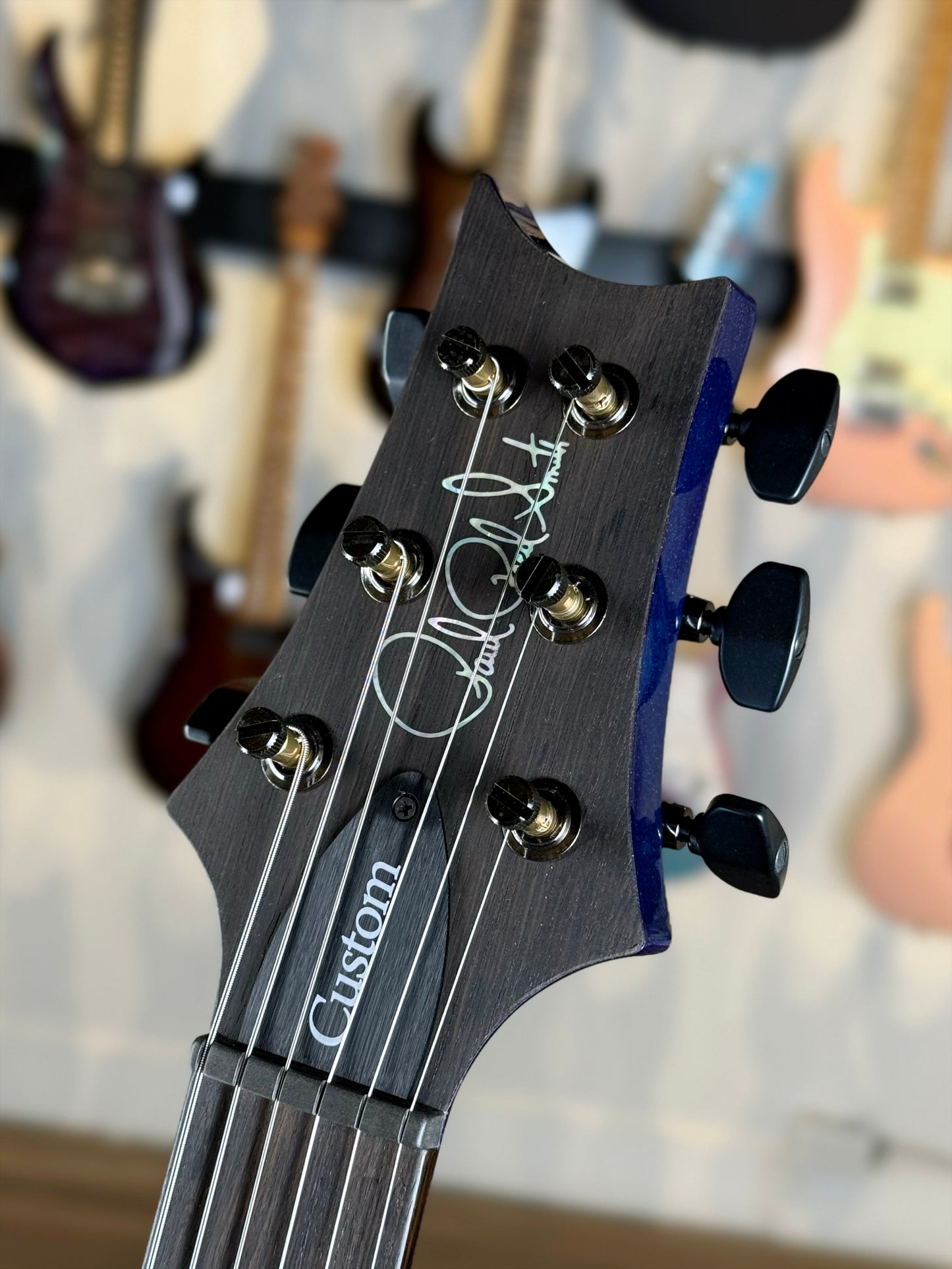 PRS Custom 24 Semi-Hollow "Artist Top" Sprayer's Choice | Glacier Mist/Trans Blue Sparkle