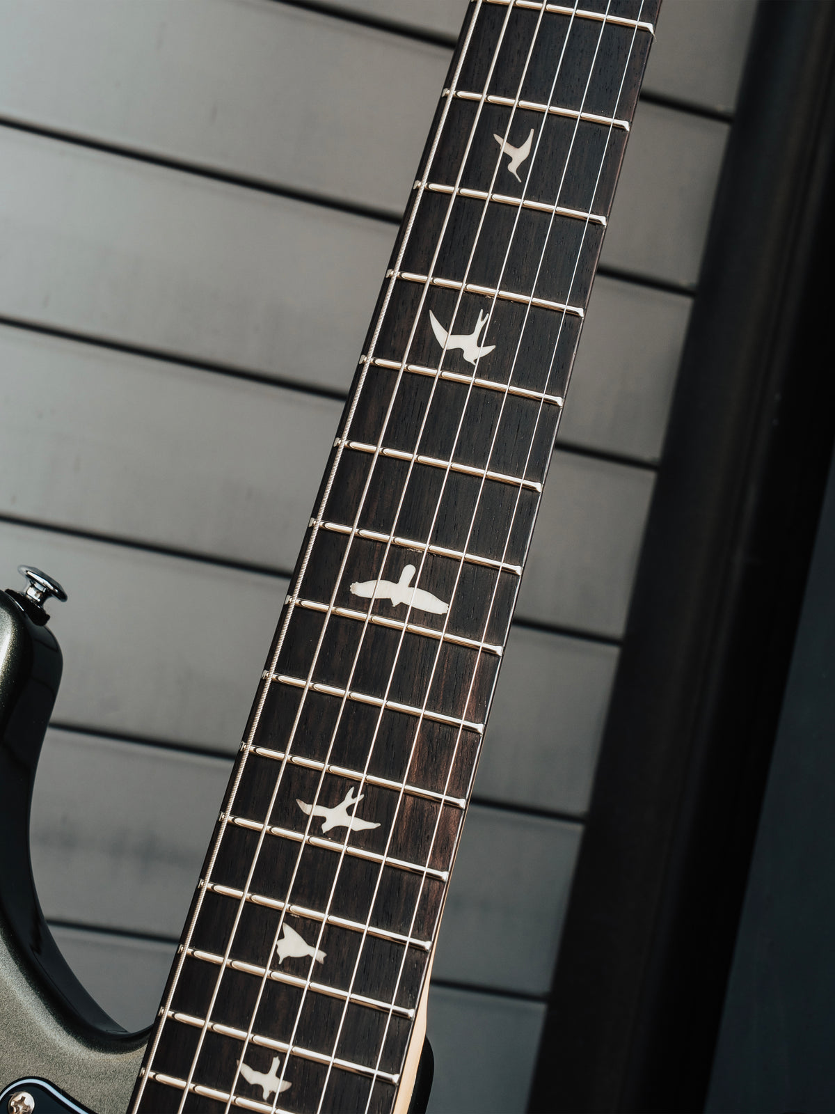 PRS SE Silver Sky Defender Limited Edition | Woolstone Green
