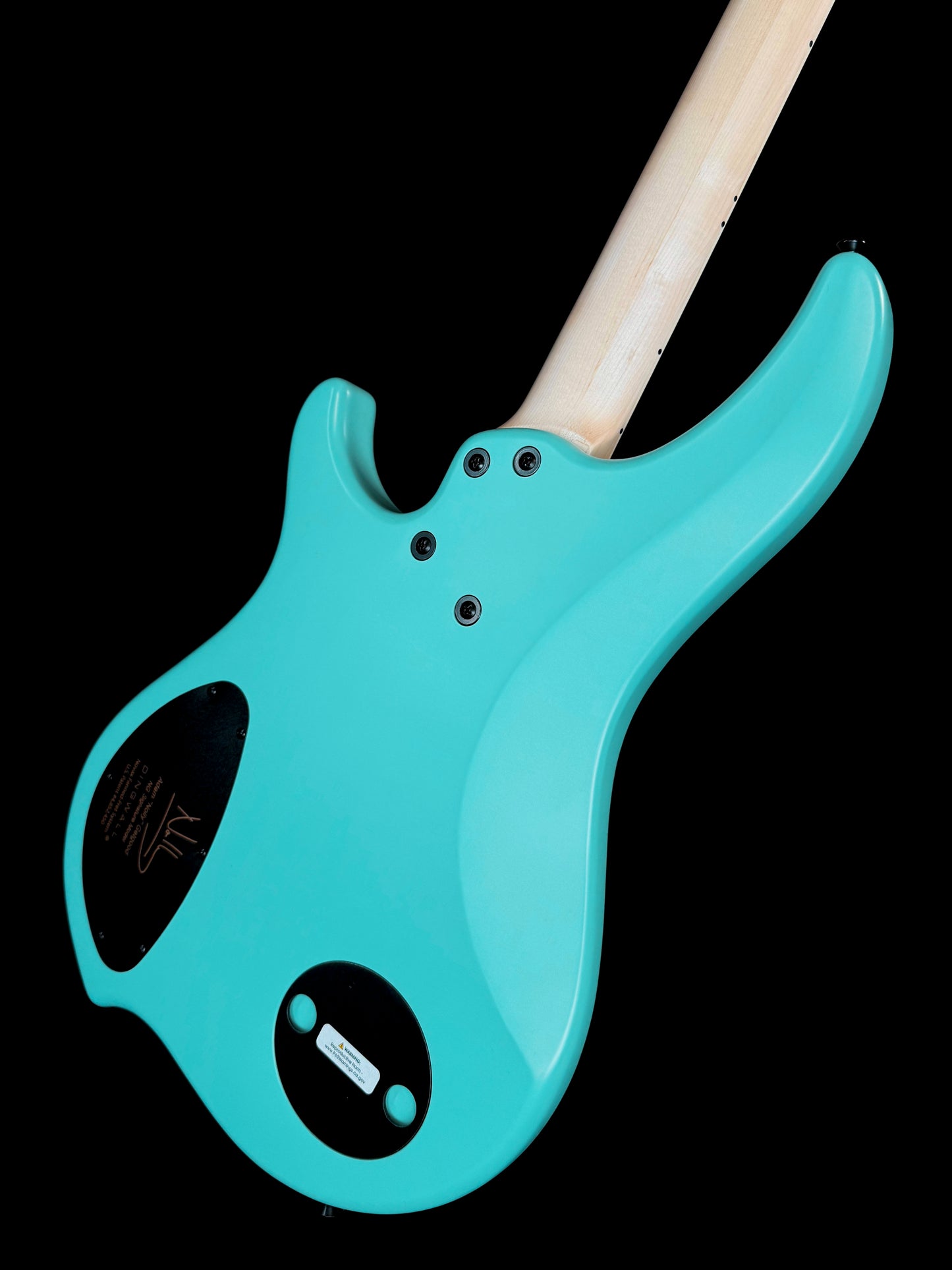 Dingwall Guitars Adam "Nolly" Getgood NG Signature 4 String | Matte Celestial Blue