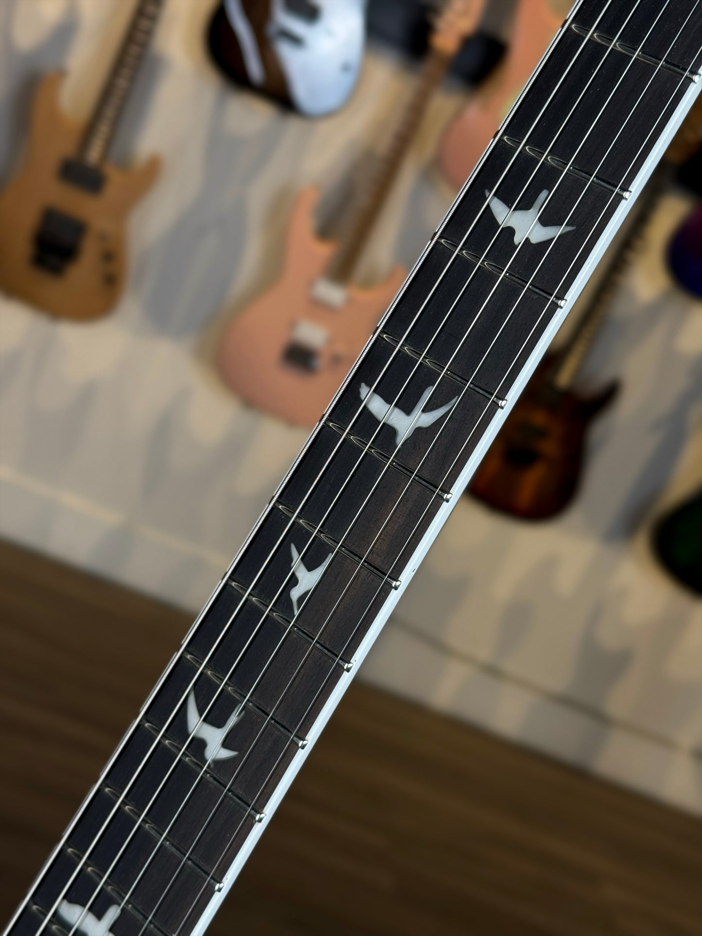 PRS SE Mark Holcomb | Holcomb Blue Burst