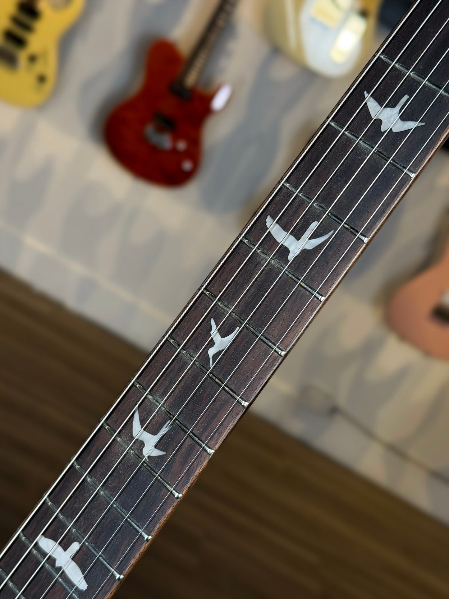 PRS SE Custom 24 | Lake Blue