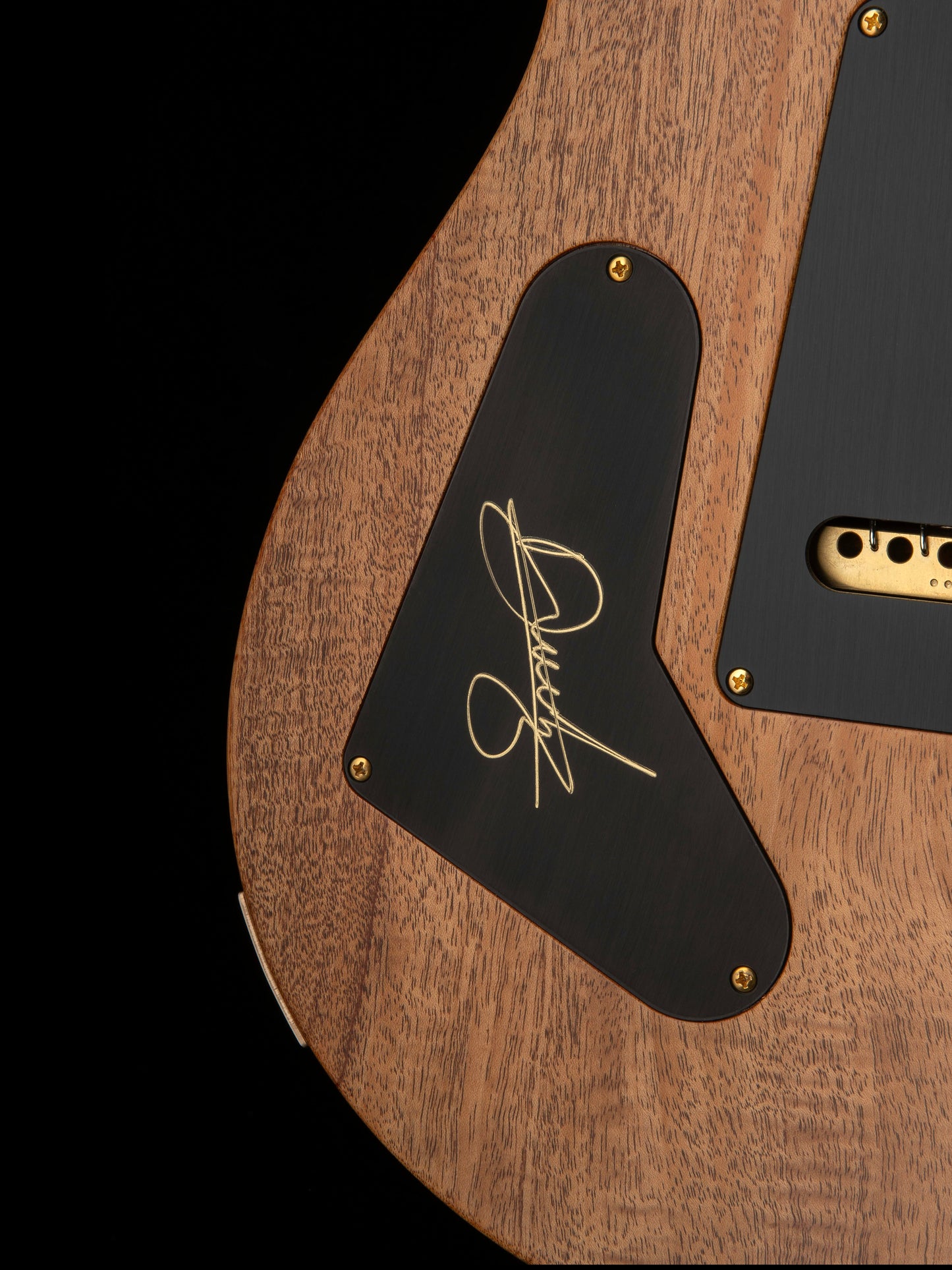 PRS Custom 24 Astryx Limited Edition Dany Villarreal Signature "10 Top" | Ocaso (Sunset)