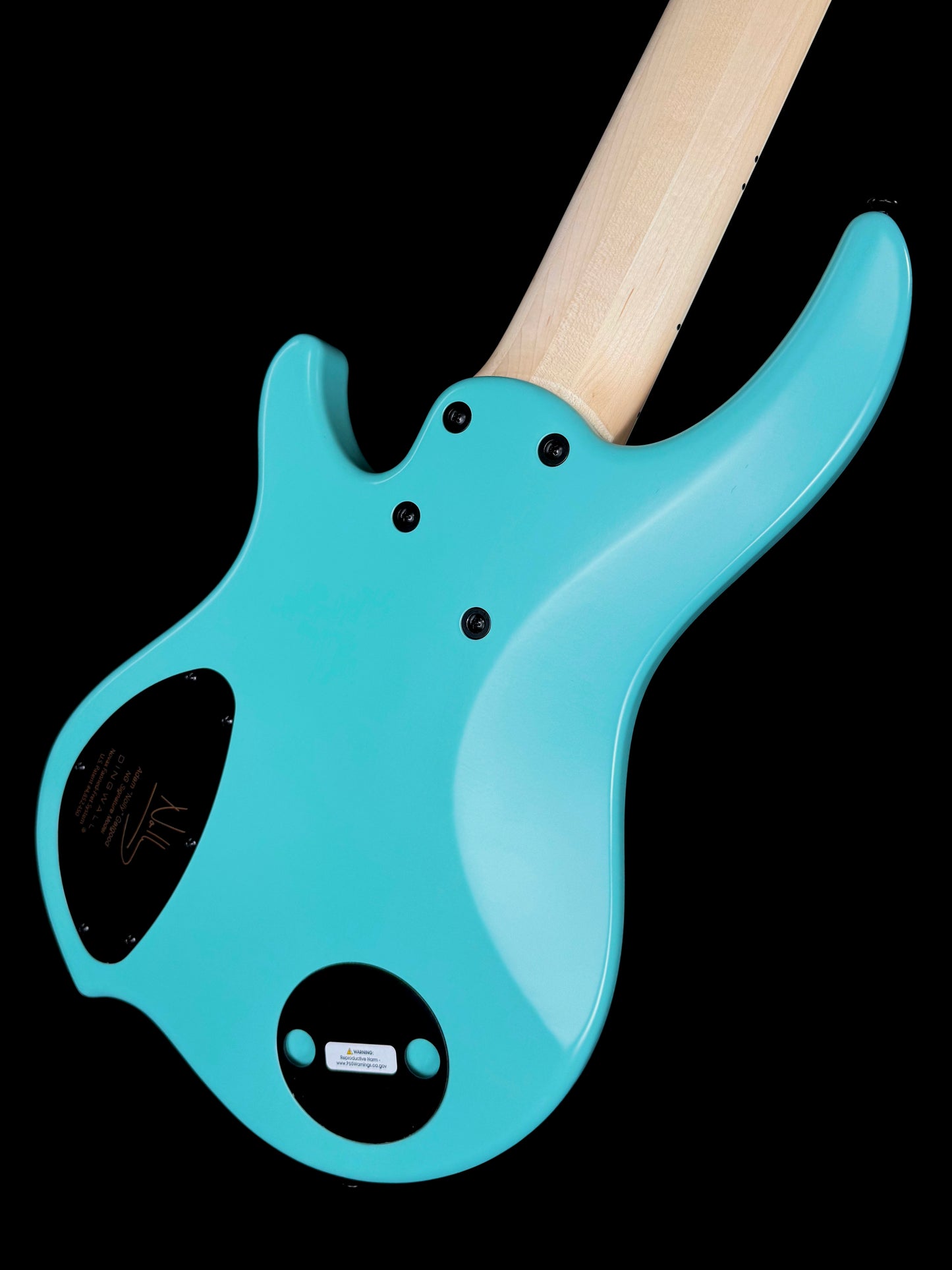 Dingwall Guitars Adam "Nolly" Getgood NG Signature 6 String | Matte Celestial Blue