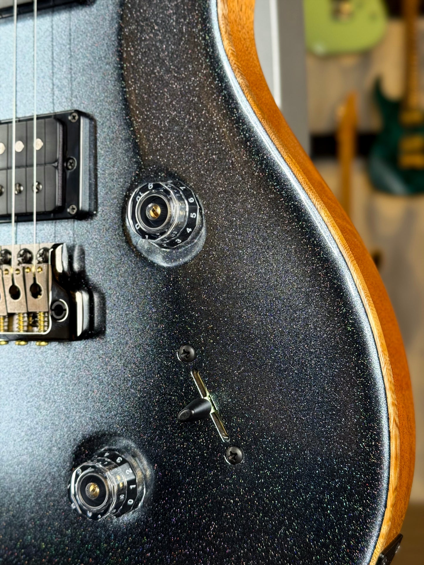 PRS Custom 24 Sprayer's Choice | Gunmetal Grey Holoflake Sparkle/Natural Back