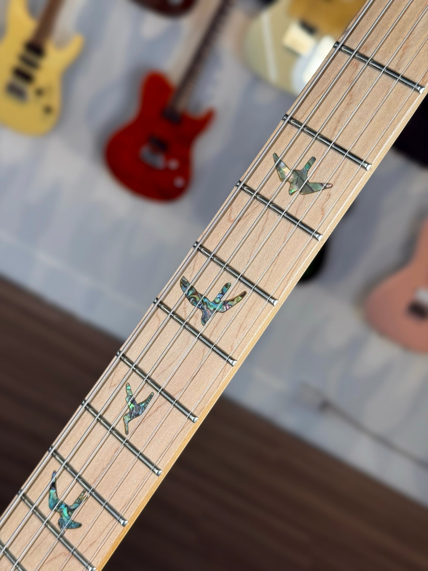 PRS SE NF 53 | Black Doghair