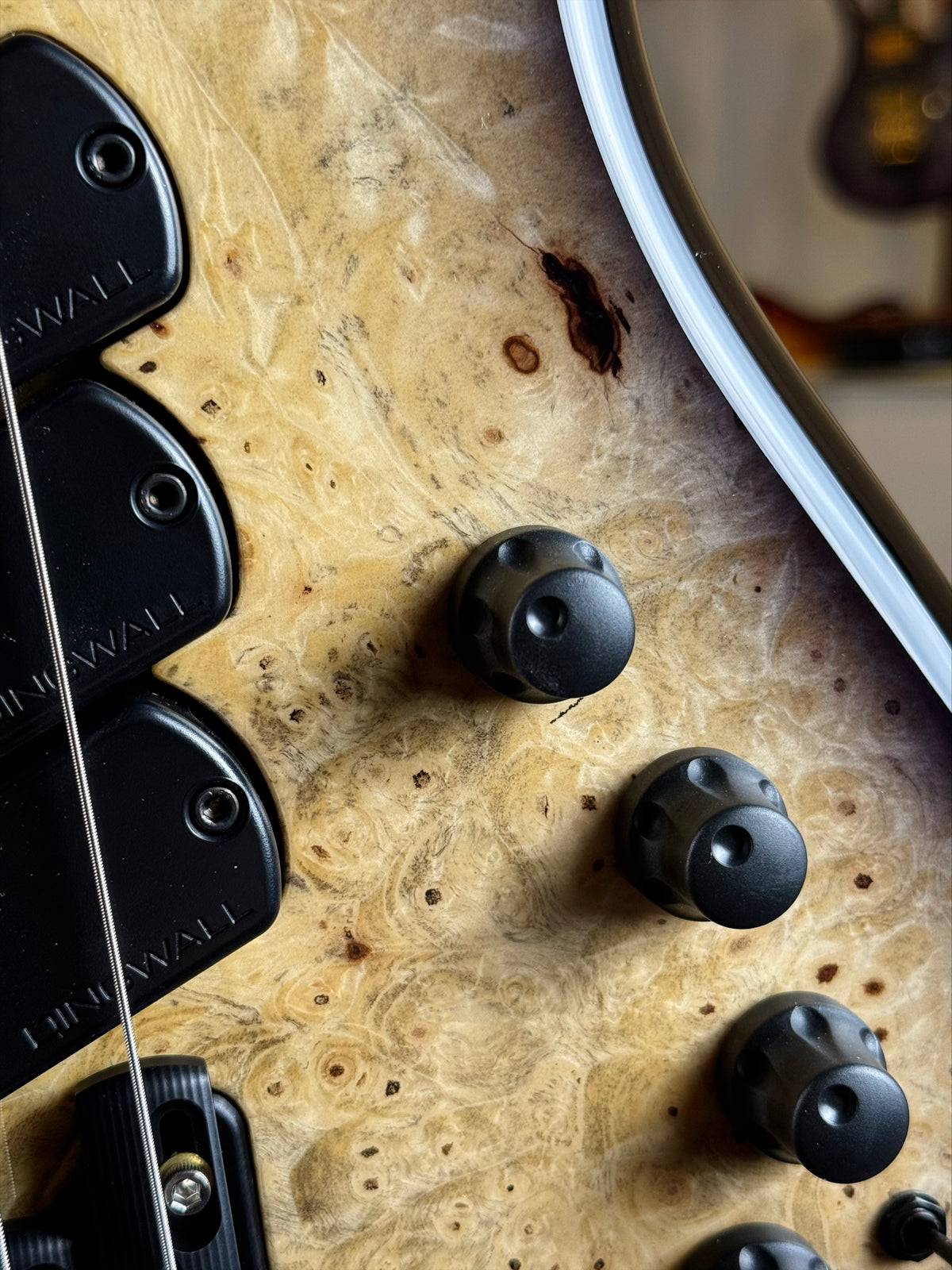 Dingwall Guitars Custom Shop Z3 5 String | Buckeye Burl Natural to Blackburst