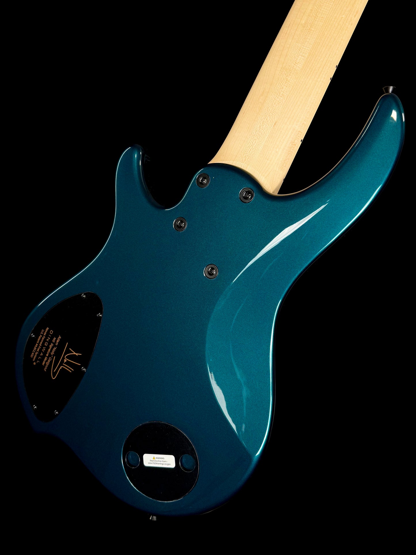 Dingwall Guitars Adam "Nolly" Getgood NG Signature 6 String | Black Forrest Green Gloss