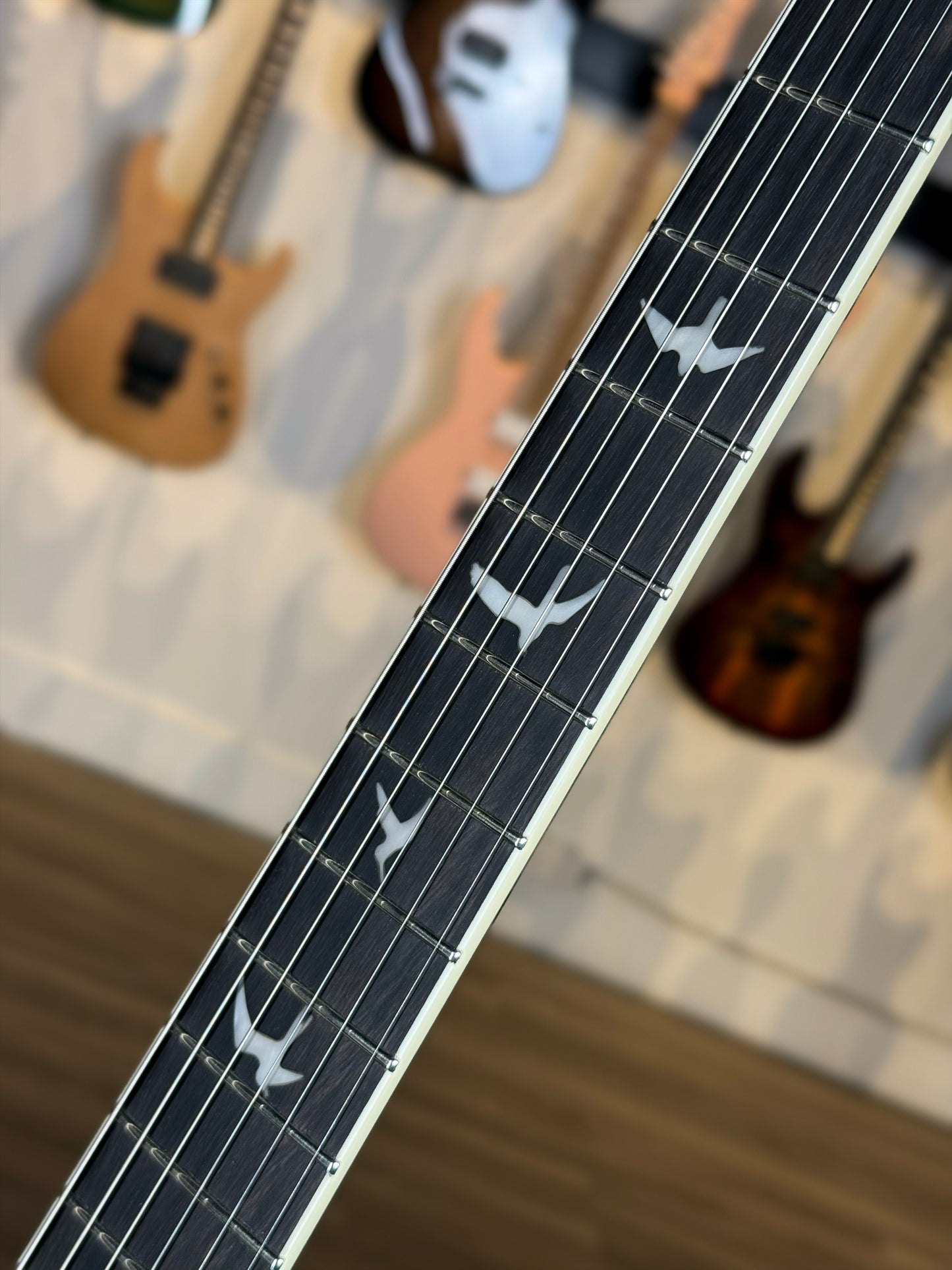 PRS SE Hollowbody Standard | Dog Hair Smokeburst