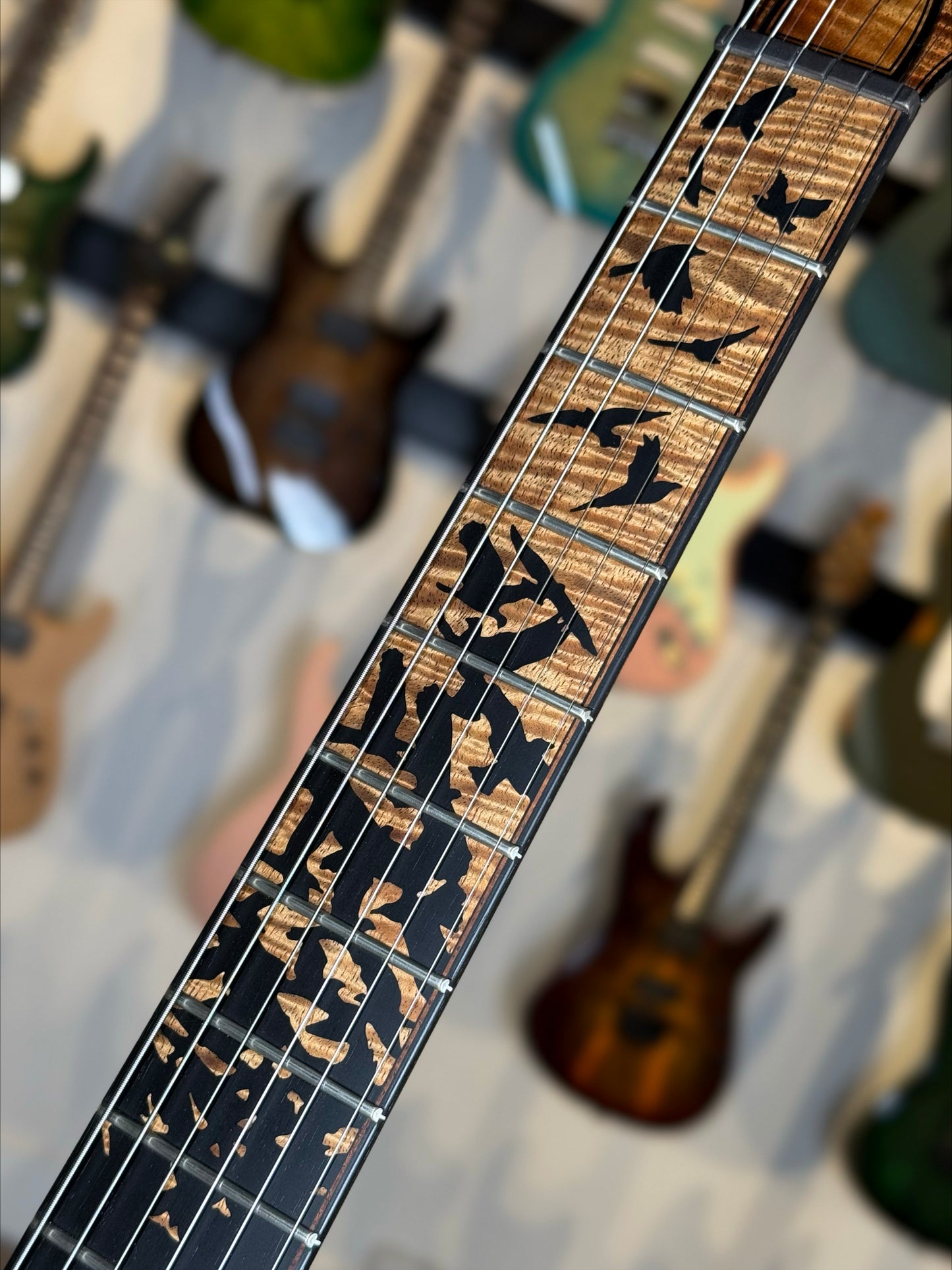 PRS Private Stock Custom 24 | Koa (Birds of a Feather)