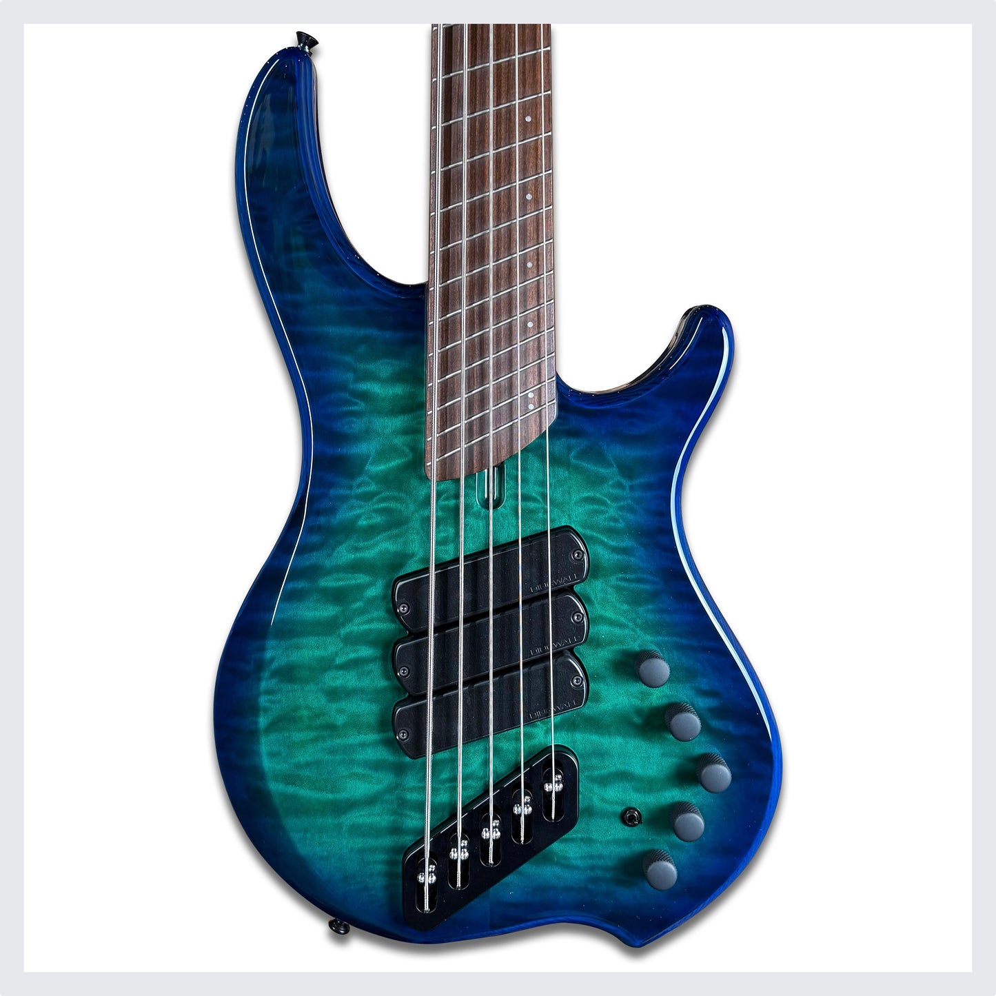 Dingwall Guitars Combustion C3 5 String | Whalepool Burst