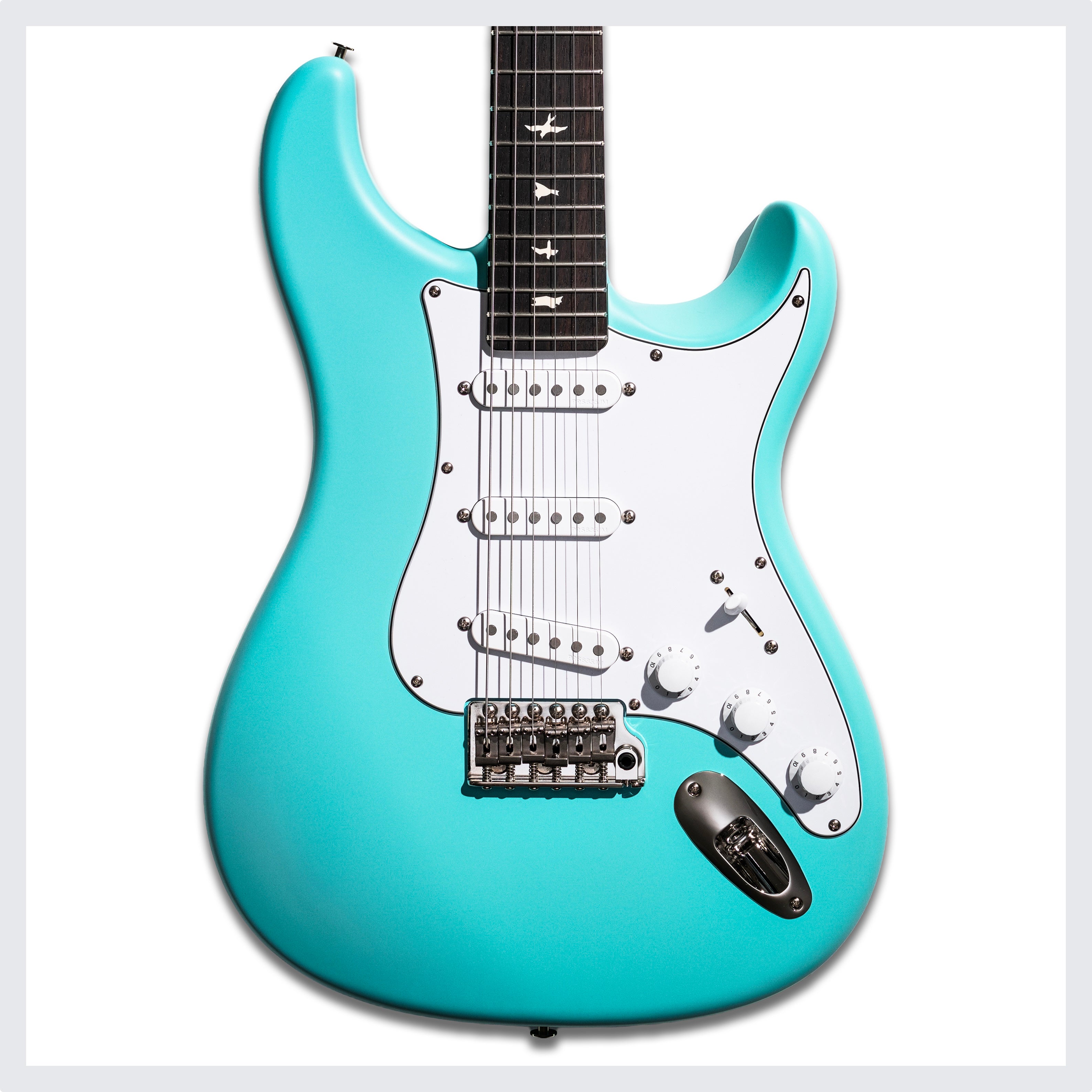 PRS Silver Sky Wild Blue Limited Edition 2026 | Wild Blue – The