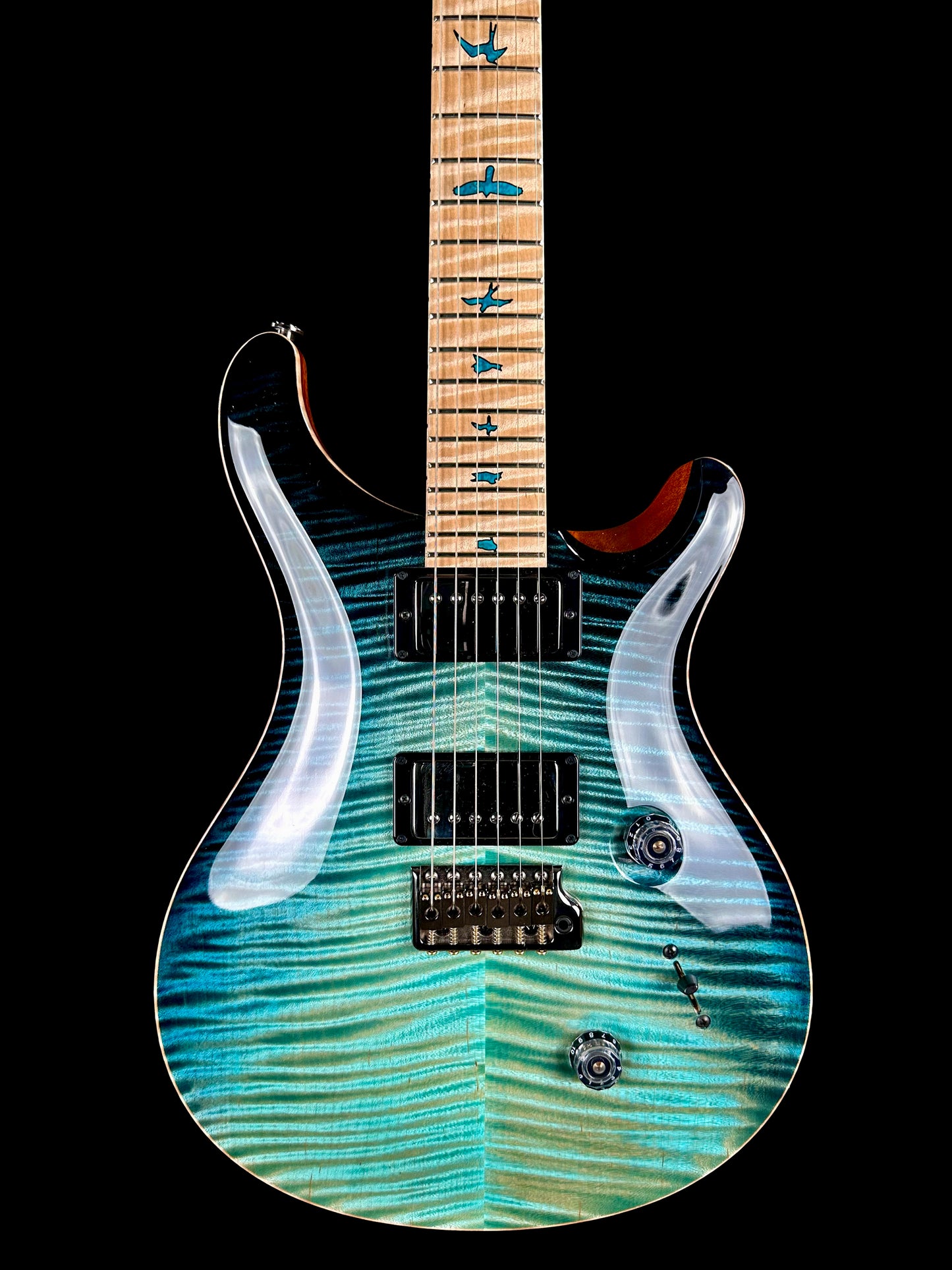 PRS Private Stock Custom 24 | Sub Zero Dragon's Breath Smoked Burst